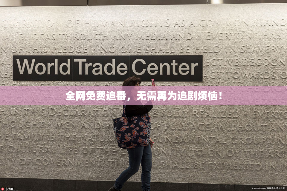 全网免费追番，无需再为追剧烦恼！