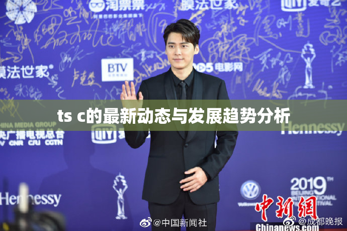 ts c的最新动态与发展趋势分析