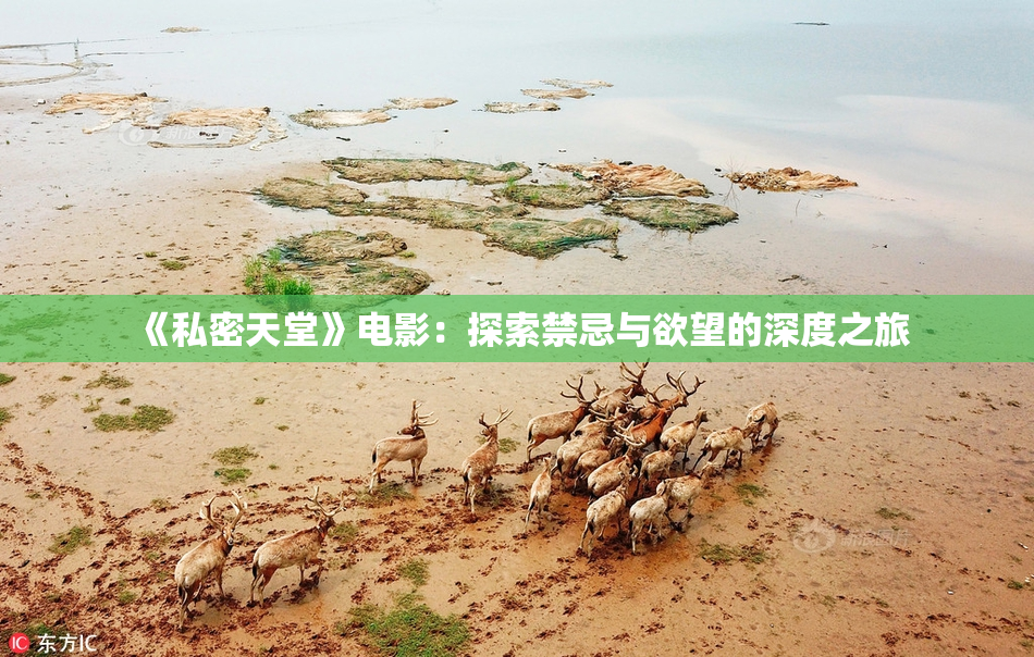 《私密天堂》电影：探索禁忌与欲望的深度之旅