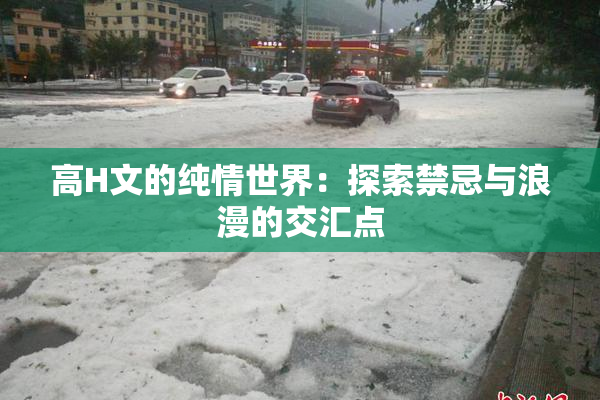 高H文的纯情世界：探索禁忌与浪漫的交汇点