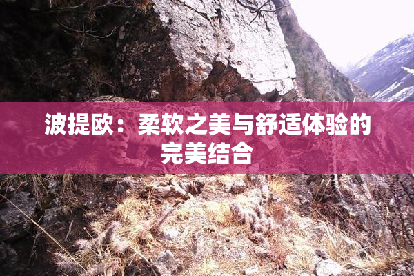 波提欧：柔软之美与舒适体验的完美结合