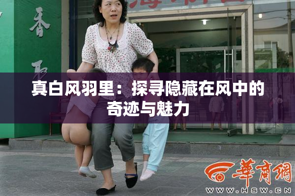 真白风羽里：探寻隐藏在风中的奇迹与魅力