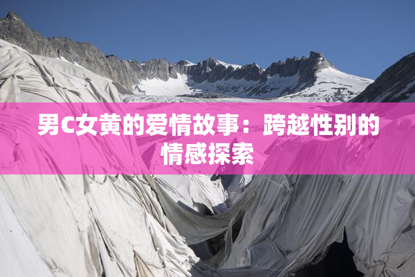 男C女黄的爱情故事：跨越性别的情感探索