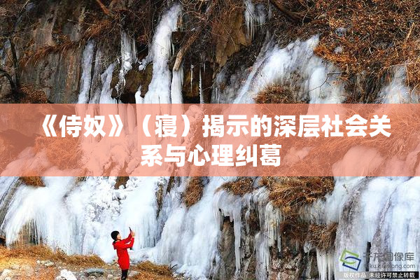 《侍奴》（寝）揭示的深层社会关系与心理纠葛