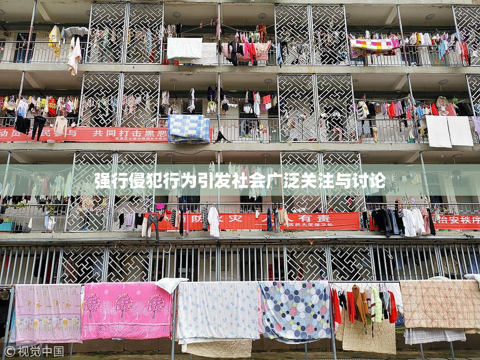 强行侵犯行为引发社会广泛关注与讨论