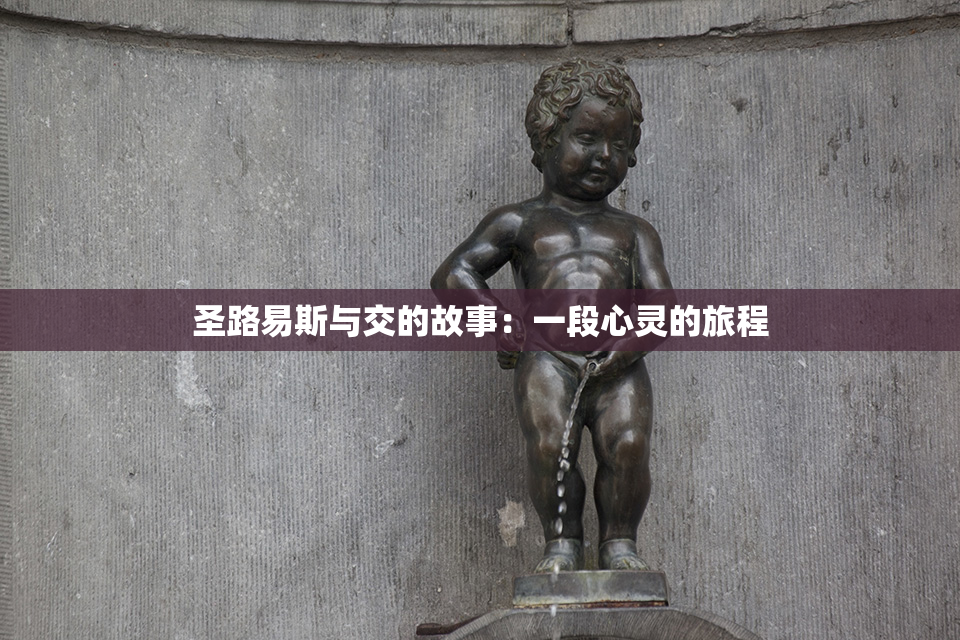 圣路易斯与交的故事：一段心灵的旅程