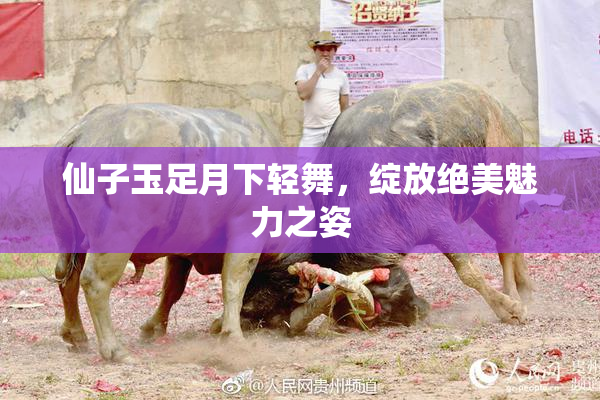 仙子玉足月下轻舞，绽放绝美魅力之姿
