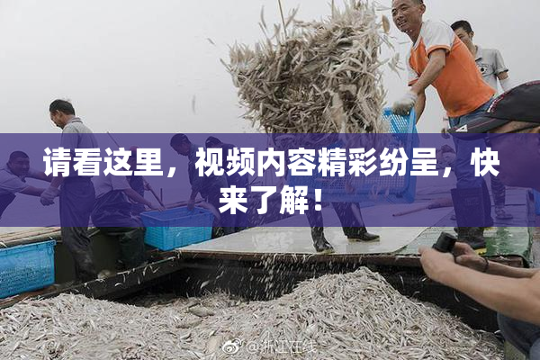 请看这里，视频内容精彩纷呈，快来了解！
