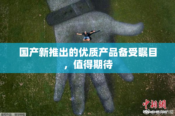 国产新推出的优质产品备受瞩目，值得期待