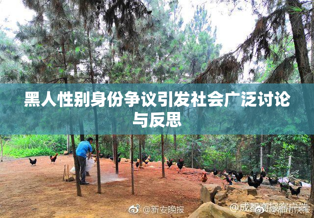 黑人性别身份争议引发社会广泛讨论与反思
