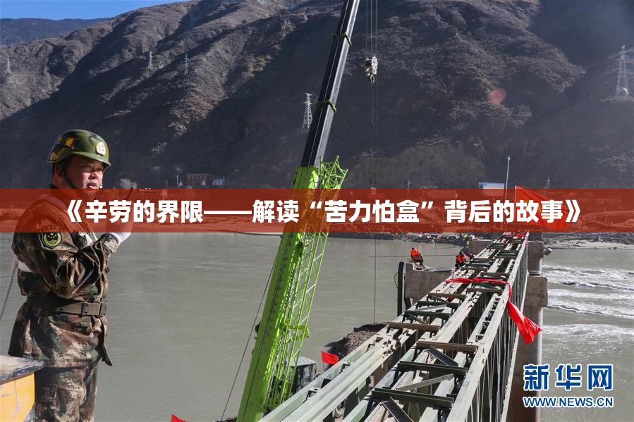 《辛劳的界限——解读“苦力怕盒”背后的故事》