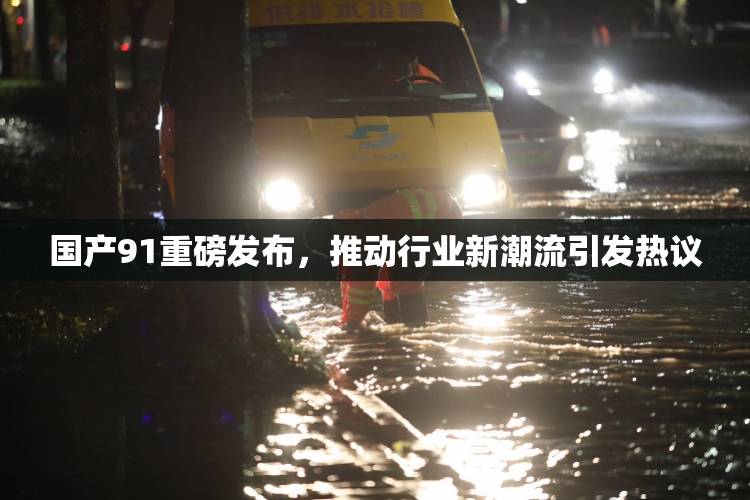 国产91重磅发布，推动行业新潮流引发热议