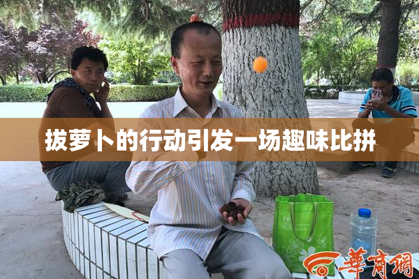 拔萝卜的行动引发一场趣味比拼