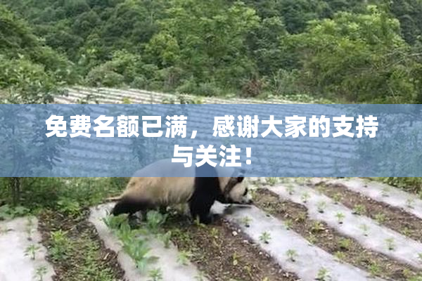 免费名额已满，感谢大家的支持与关注！