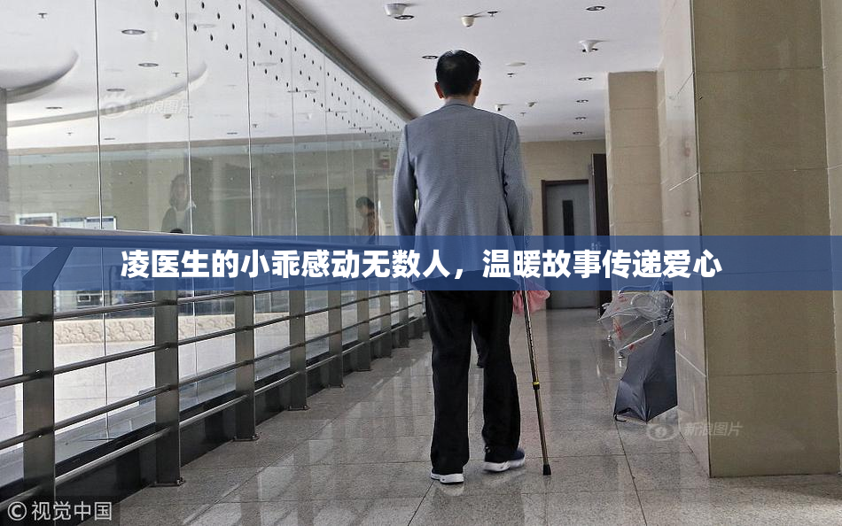 凌医生的小乖感动无数人，温暖故事传递爱心