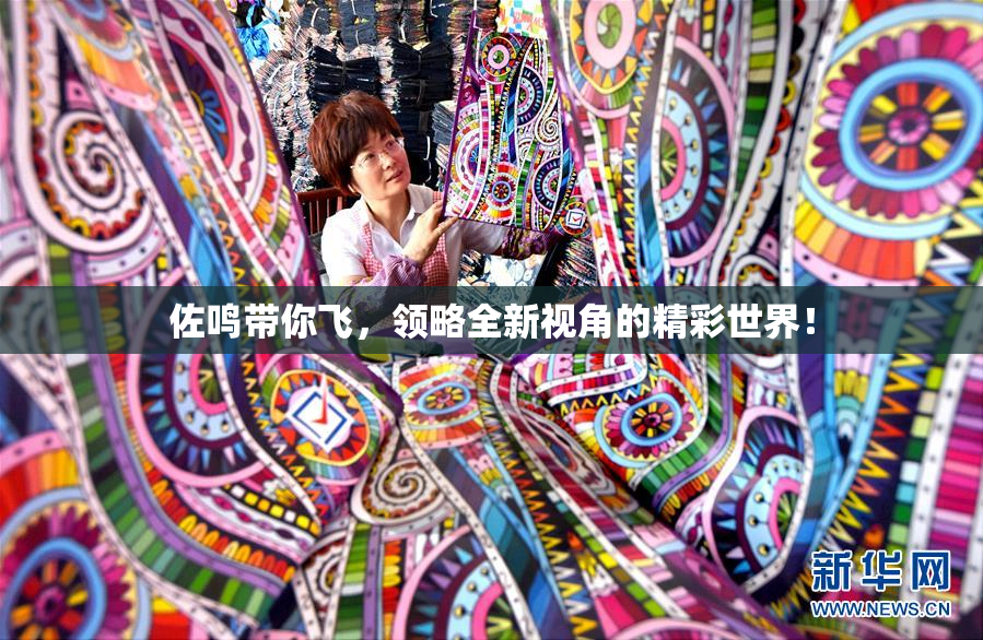 佐鸣带你飞，领略全新视角的精彩世界！