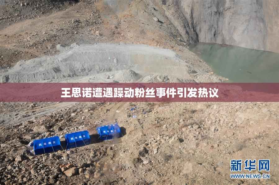 王思诺遭遇躁动粉丝事件引发热议