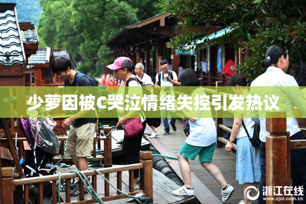 少萝因被C哭泣情绪失控引发热议