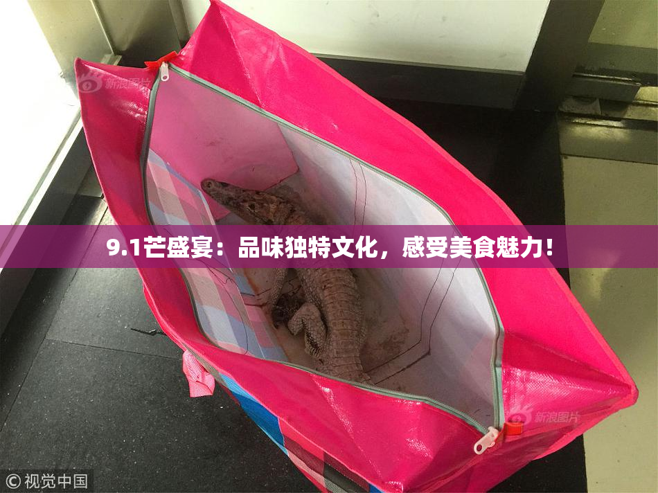 9.1芒盛宴：品味独特文化，感受美食魅力！