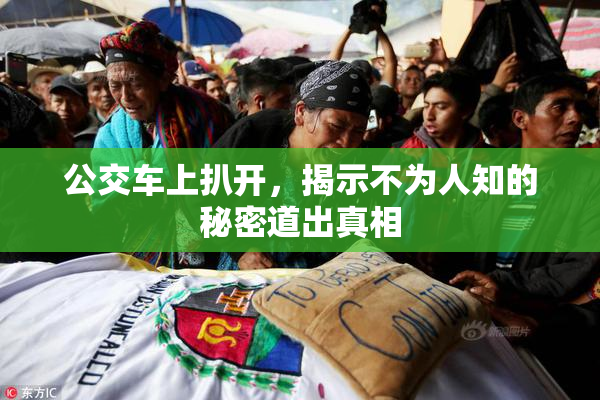 公交车上扒开，揭示不为人知的秘密道出真相
