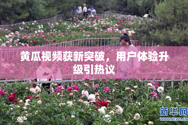 黄瓜视频获新突破，用户体验升级引热议