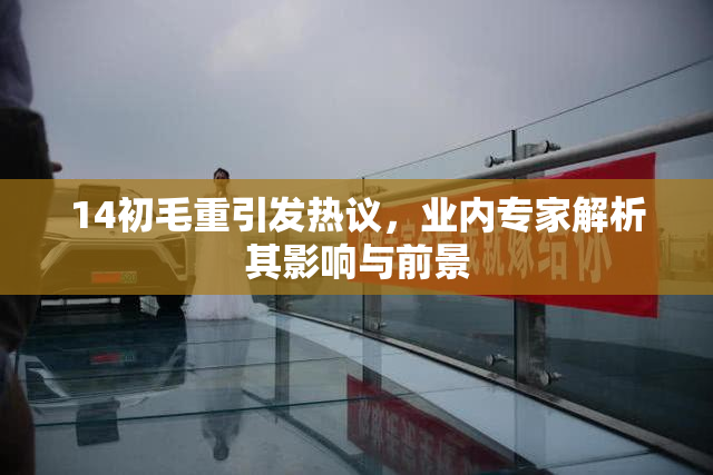 14初毛重引发热议，业内专家解析其影响与前景