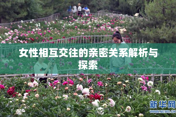 女性相互交往的亲密关系解析与探索