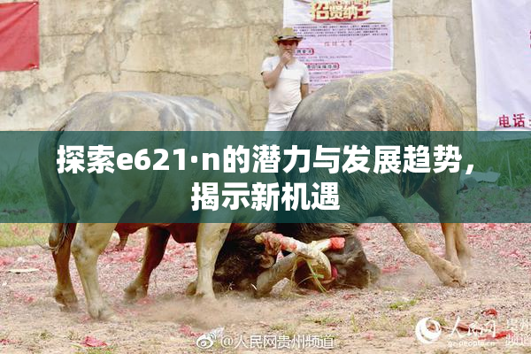 探索e621·n的潜力与发展趋势，揭示新机遇