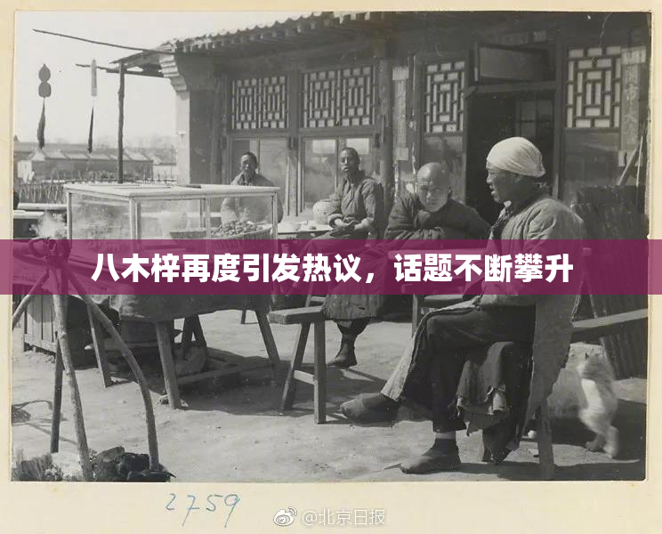 八木梓再度引发热议，话题不断攀升
