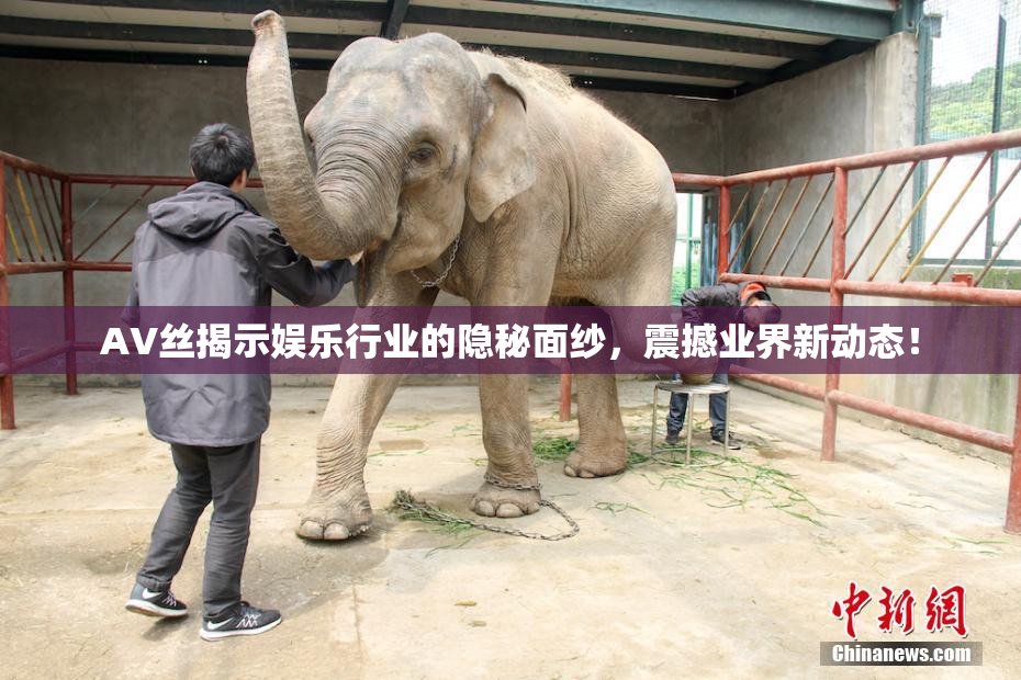 AV丝揭示娱乐行业的隐秘面纱，震撼业界新动态！