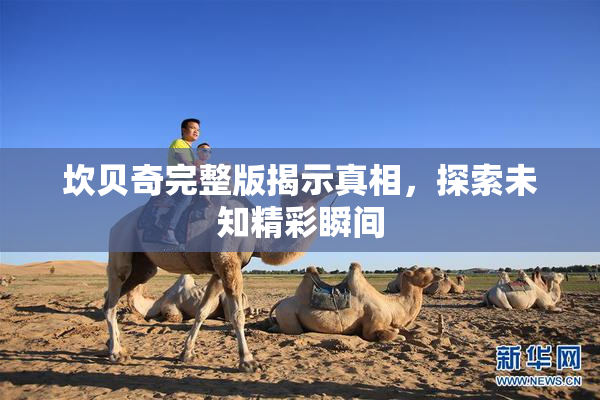 坎贝奇完整版揭示真相，探索未知精彩瞬间
