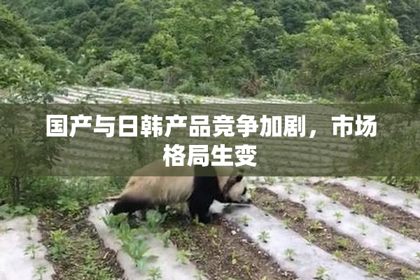 国产与日韩产品竞争加剧，市场格局生变