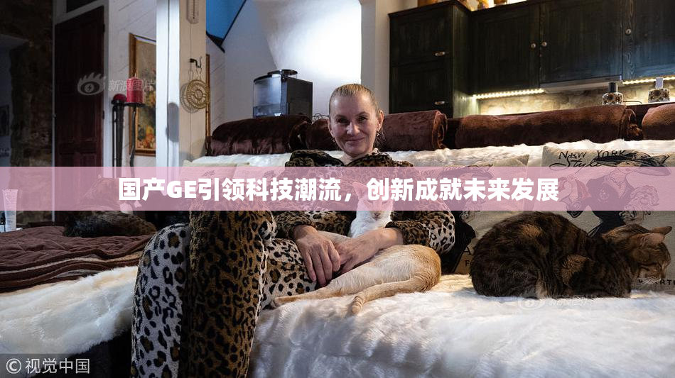 国产GE引领科技潮流，创新成就未来发展