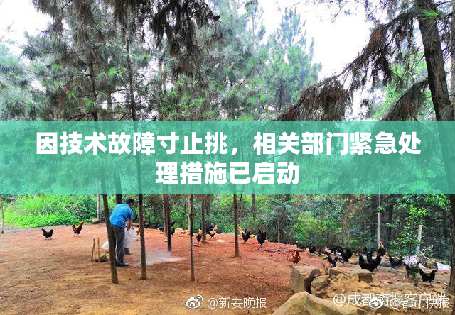 因技术故障寸止挑，相关部门紧急处理措施已启动