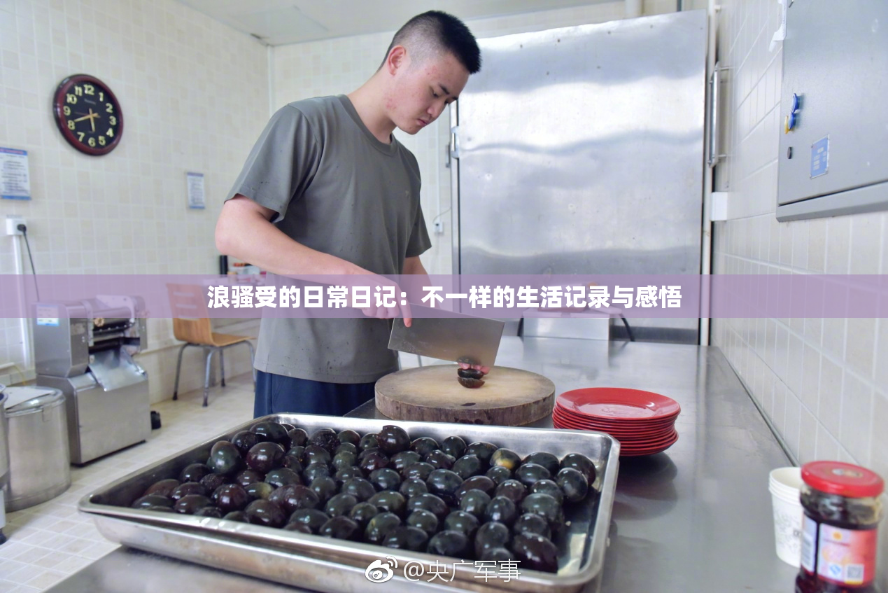 浪骚受的日常日记：不一样的生活记录与感悟