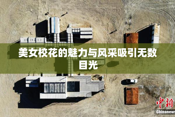 美女校花的魅力与风采吸引无数目光