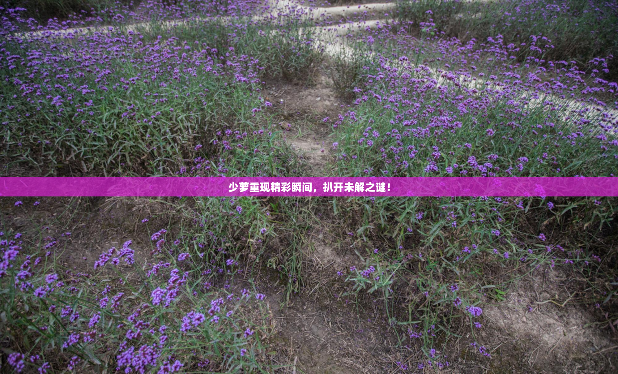 少萝重现精彩瞬间，扒开未解之谜！