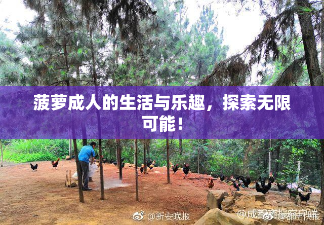 菠萝成人的生活与乐趣，探索无限可能！