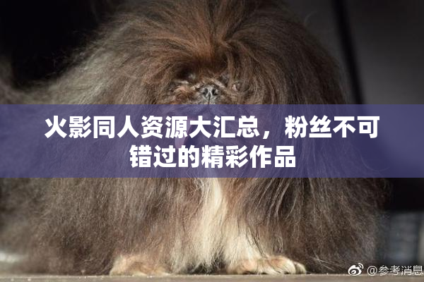 火影同人资源大汇总，粉丝不可错过的精彩作品