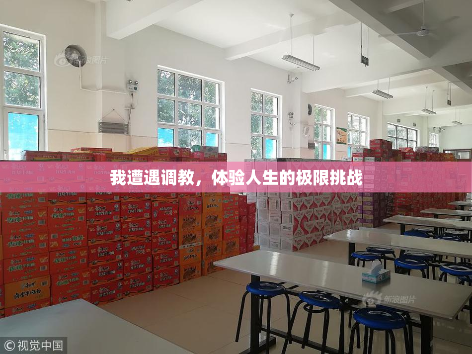 我遭遇调教，体验人生的极限挑战