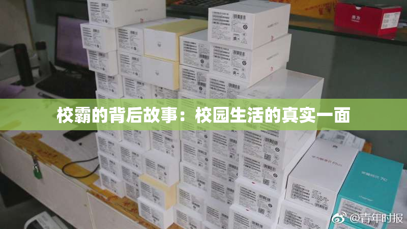 校霸的背后故事：校园生活的真实一面