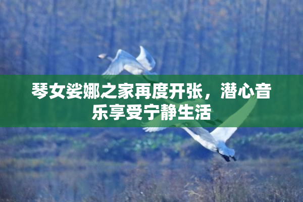 琴女娑娜之家再度开张，潜心音乐享受宁静生活