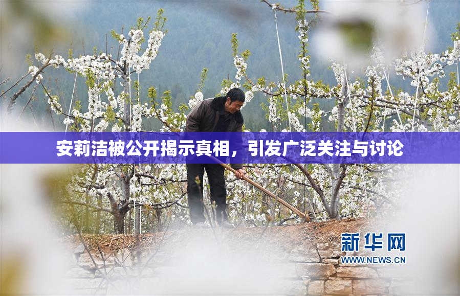 安莉洁被公开揭示真相，引发广泛关注与讨论