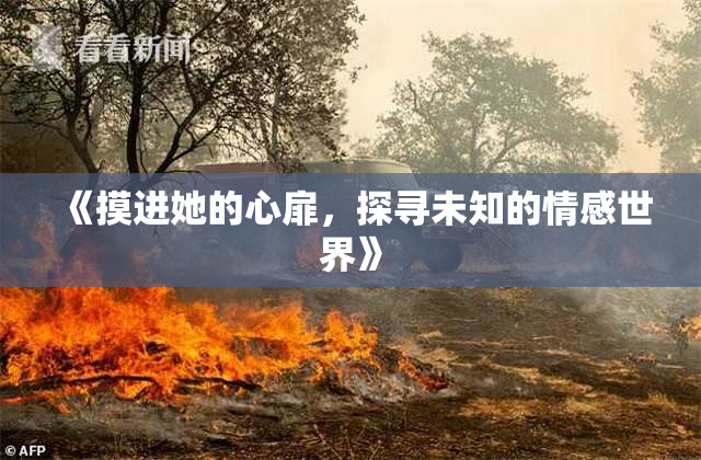 《摸进她的心扉，探寻未知的情感世界》