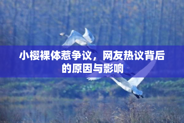 小樱裸体惹争议，网友热议背后的原因与影响