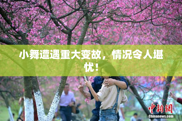 小舞遭遇重大变故，情况令人堪忧！