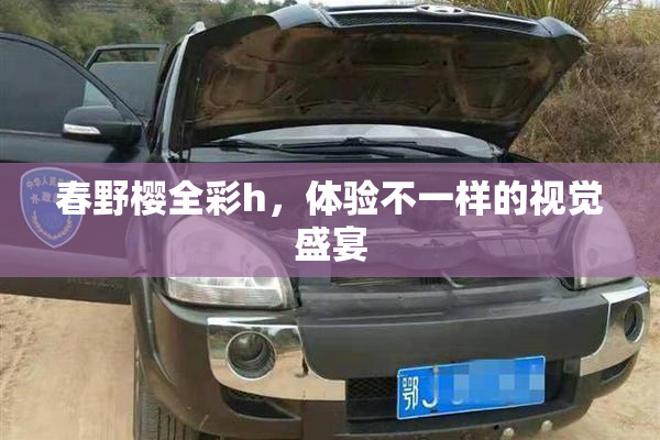 春野樱全彩h，体验不一样的视觉盛宴