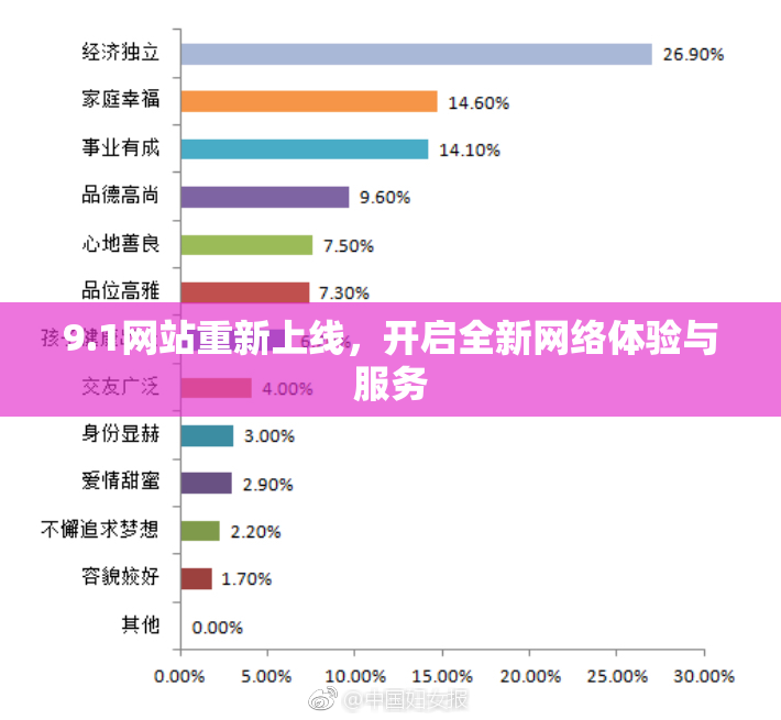 9.1网站重新上线，开启全新网络体验与服务