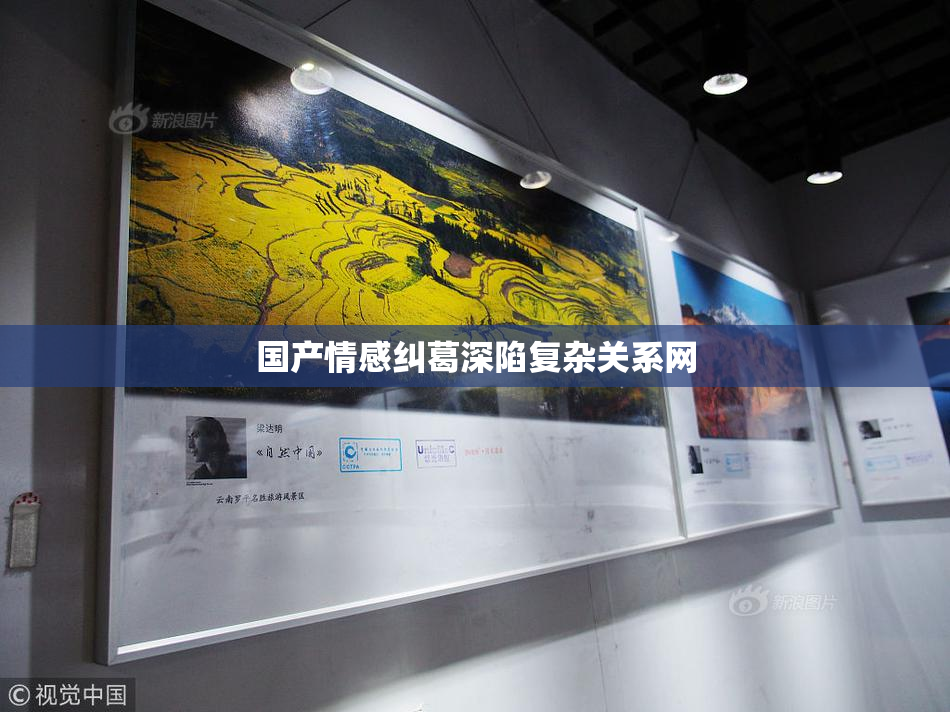 国产情感纠葛深陷复杂关系网