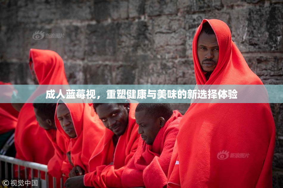 成人蓝莓视，重塑健康与美味的新选择体验